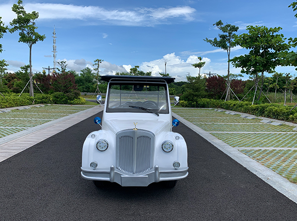  LR11
